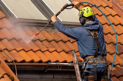 Démoussage et hydrofuge de toiture à Ovanches